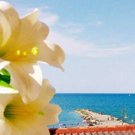 Al Giglio - Affittacamere, hotel v destinácii Cariati