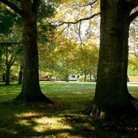 Silverstream Lodge, Hotel in Lincoln