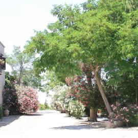 Agriturismo Ridocco، فندق في كورليوني