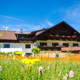 Haus Kohlberghof, hotell i Bichlbach
