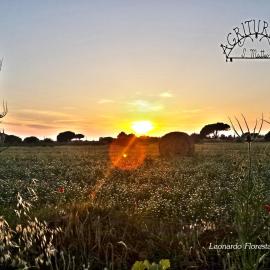Agriturismo San Matteo