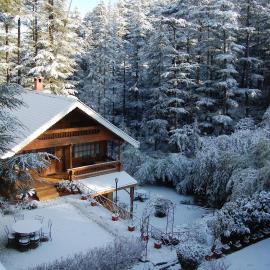 The Chalets Naldehra, hotel Simlában