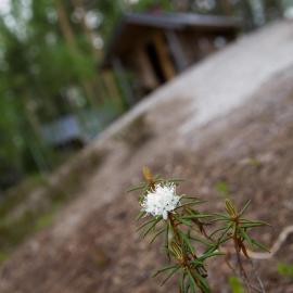 Pielppa Lodge, Hotel in Orivesi