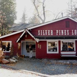 아이딜와일드에 위치한 호텔 Silver Pines Lodge
