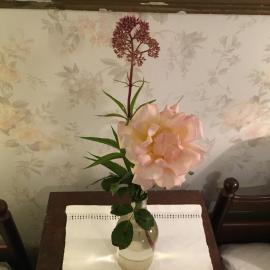 Berte Bed&Breakfast, hotel u gradu 'Slöinge'