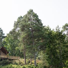 Ljungskile में, होटल Anfasteröd Gårdsvik - Tälten