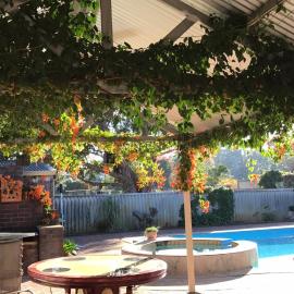Swan Valley Rest Cottage – hotel w mieście Middle Swan
