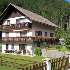 Apartments Mertelj