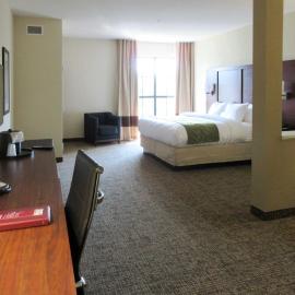 피에드몬트에 위치한 호텔 Comfort Suites Piedmont - Greenville South
