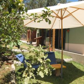 Ecobosque