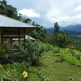 Cordillera Escalera Lodge, hotel din Tarapoto