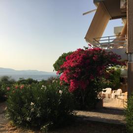 Galini Studios and Apartments, hotel i Lassi