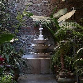 El Patio 77 B&B, khách sạn ở Mexico City