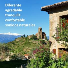 Casa Larriero de Olsón Aínsa，位于Olsón的酒店