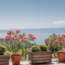 Villa Stefanoski: Konsko şehrinde bir otel