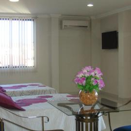 Hotel San German, hotel in Ubá