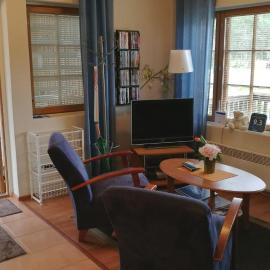 Levin Alppi 3 A 1 Apartment, готель у Леві