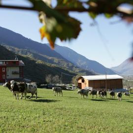Agriturismo Stella Orobica, Hotel in Albosaggia