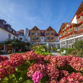 Ringhotel Krone, ξενοδοχείο στο Φριντρισχάφεν