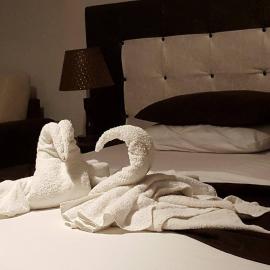 Hotel Livia, hotel v destinácii Tirana