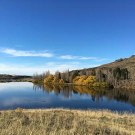 Lye Bow Lake Suite, hotel a Alexandra