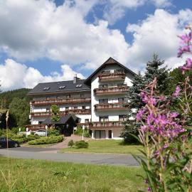 Hotel Thüringer Wald, hotel v destinácii Ilmenau
