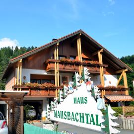 Pension Mausbachtal, отель в городе Варменштайнах