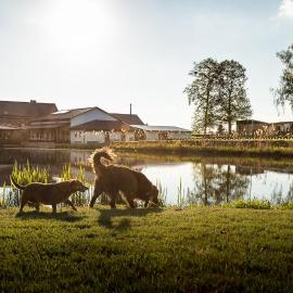 Tawerna Pod Kotwicą pokoje i domy wakacyjne, hotelli kohteessa Kadłub Wolny