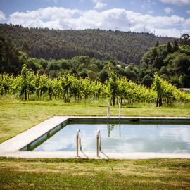 Quinta de Lourosa, Hotel in Lousada