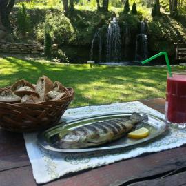 Gradačka Banja brvnare, Hotel in Gradac