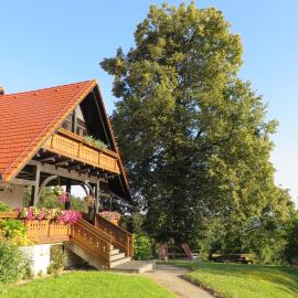 Country House Apat, hotelli Šoštanjissa
