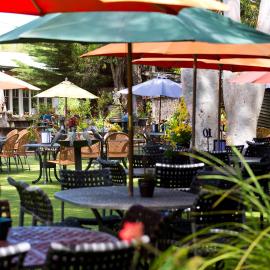 Oakdene Vineyards Guesthouse, hotel in Wallington