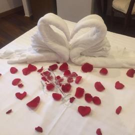 피옴비노에 위치한 호텔 Antico Hotel Moderno