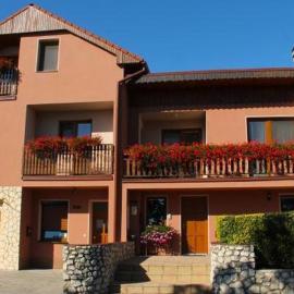 Penzion Vinařský dům PÁLAVA, Hotel in Strachotín