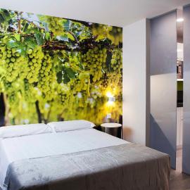 Apartamentos Divan, hotel v destinaci Vitoria-Gasteiz