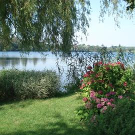 Ferienwohnung am Schöhsee, hotel in Plön