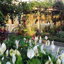 Ciel Homestay