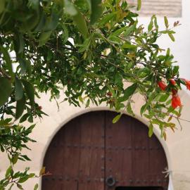 Moclín में, होटल Casa de la Placeta del Rincón