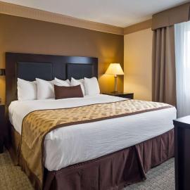Best Western Plus Concordville Hotel, hotel in Concordville