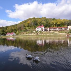 MishyN-City Hotel, Hotel in Dobrovlyany