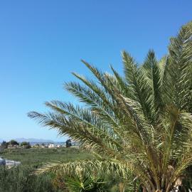 Baglio il Giovinetto, hotel v destinaci Marsala