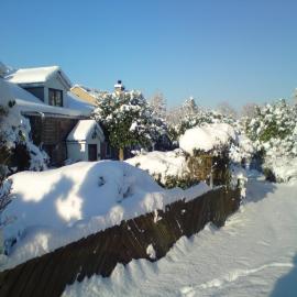 Sycamore Cottage