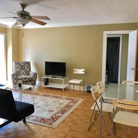 Simple Beauty Downtown Condo Sleeps 4 (14N)