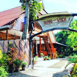 BING-VICE Tourist Inn, hotel in San Vicente