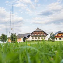 Biohof Poinsitgut