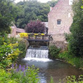 Le moulin de Cohem