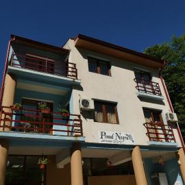 Pensiunea Pinul Negru, מלון בבאילה הרקולנה