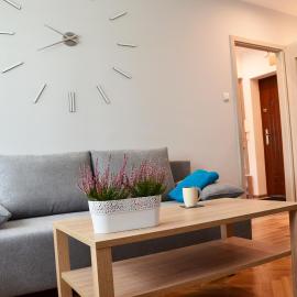 Apartament Leliwa - Centrum - blisko dworca PKP - blisko Starówki - restauracje i sklepy w pobliżu - pierwsze piętro - możliwy kurs na lotnisko -faktura - kawa - herbata - English