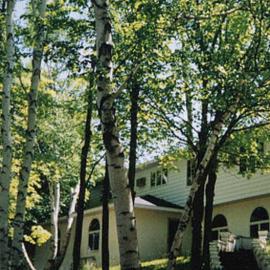 White Birch Inn, Hotel in Sturgeon Bay