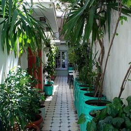 Pagration Youth Hostel – hotel w Atenach